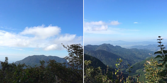 b0050172_11355835.jpg