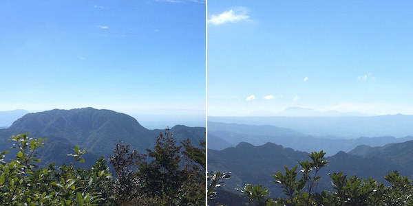 b0050172_11512450.jpg