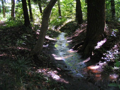 c0112172_21425860.jpg