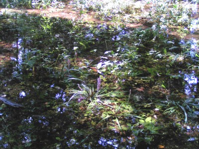 c0112172_21432332.jpg