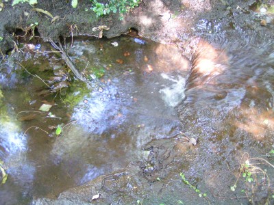 c0112172_2143759.jpg