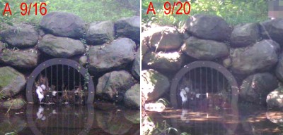 c0112172_21442313.jpg
