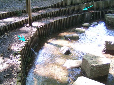 c0112172_214548.jpg
