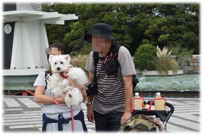 b0242873_00511004.png