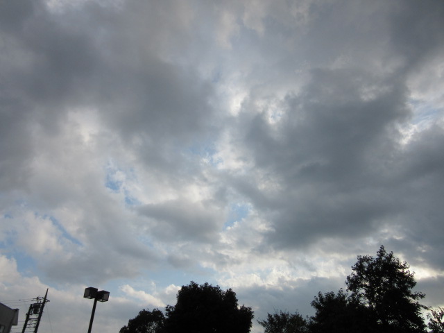 d0109373_0274960.jpg