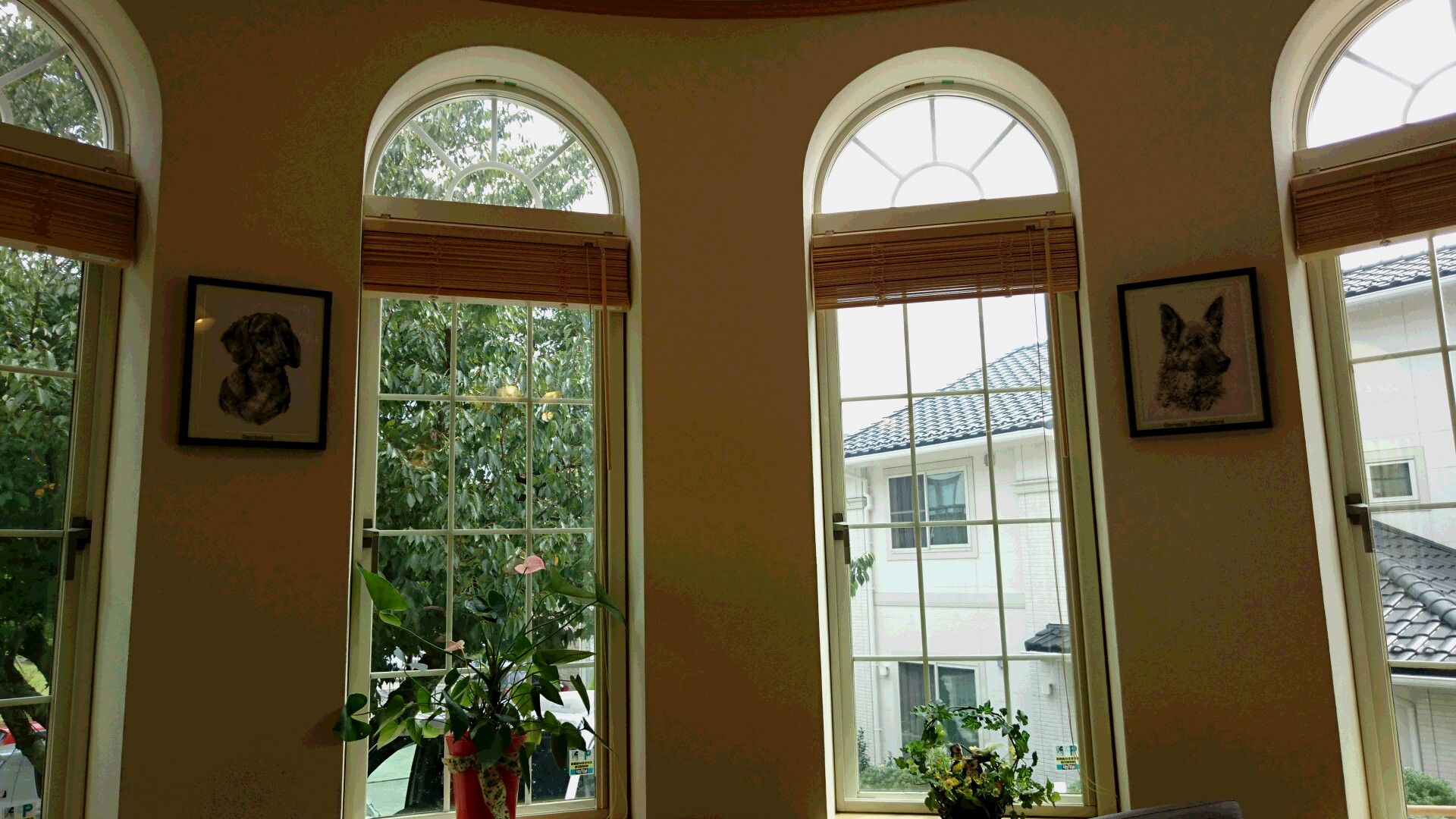 e0165577_1050099.jpg