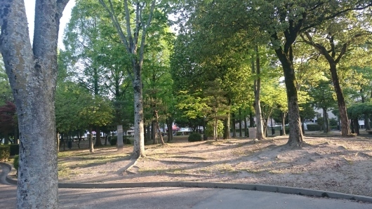 c0325278_20033073.jpg