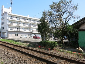 e0130185_12194090.jpg