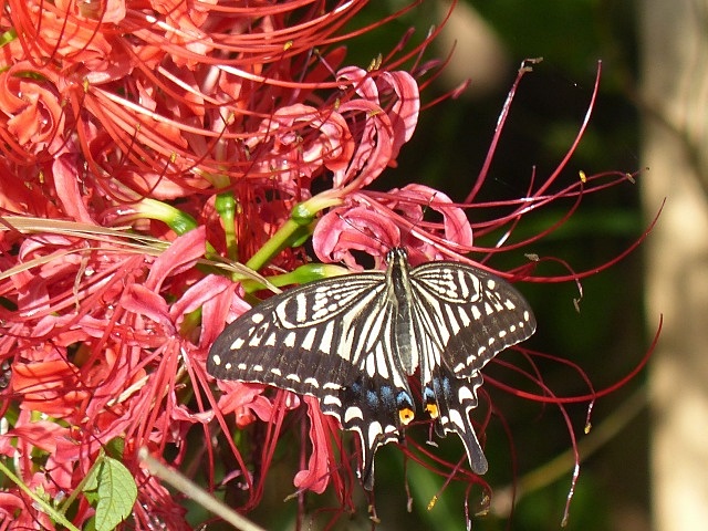 f0357487_23162187.jpg