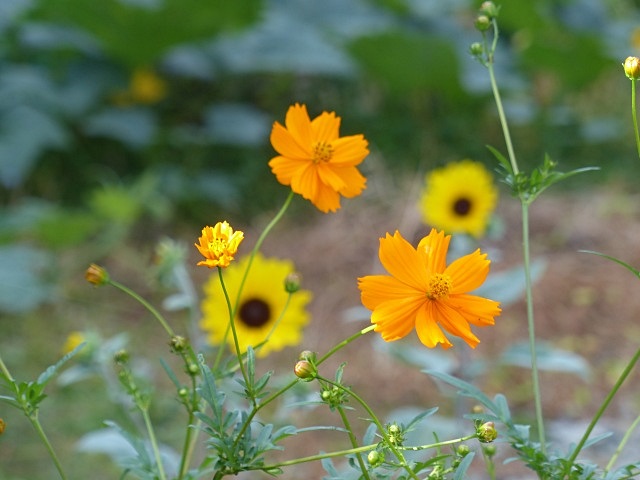 f0357487_23171559.jpg