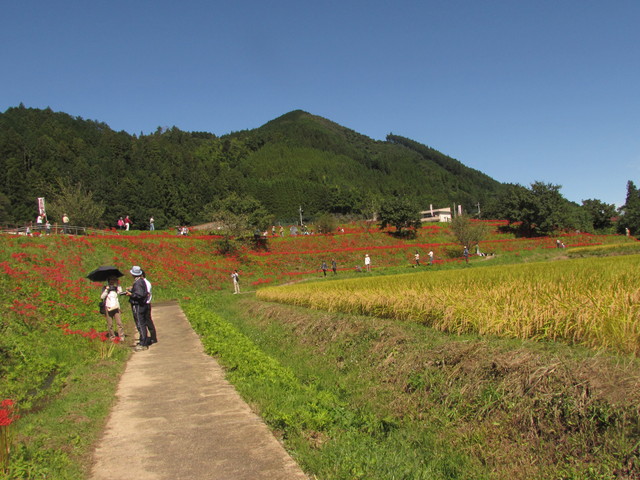 b0203588_1655823.jpg