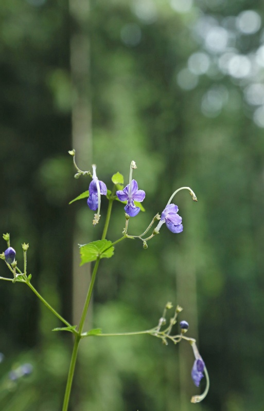 f0000789_1032211.jpg