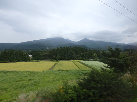 d0257690_17333436.jpg