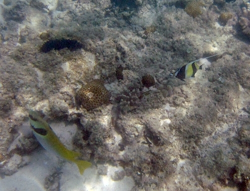 d0103292_22435765.jpg