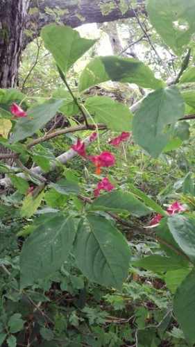 f0297492_14440425.jpg