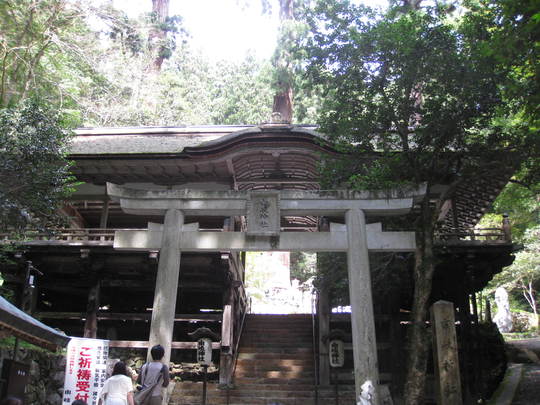 f0010195_17202277.jpg