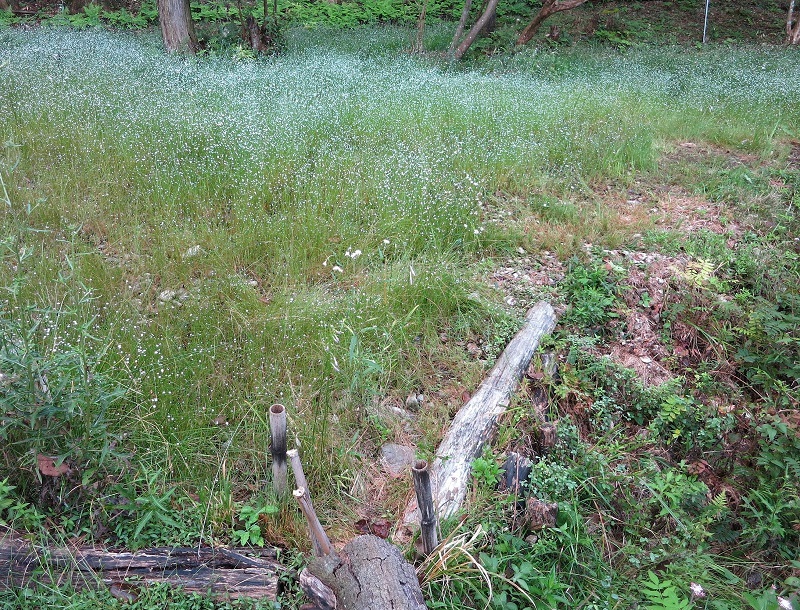 c0119197_16032316.jpg
