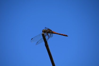 c0187298_21514311.jpg