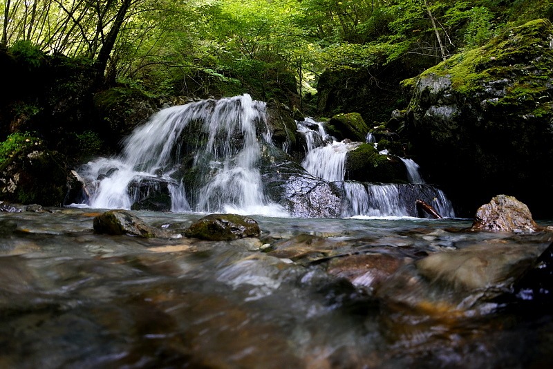 c0339900_2110216.jpg