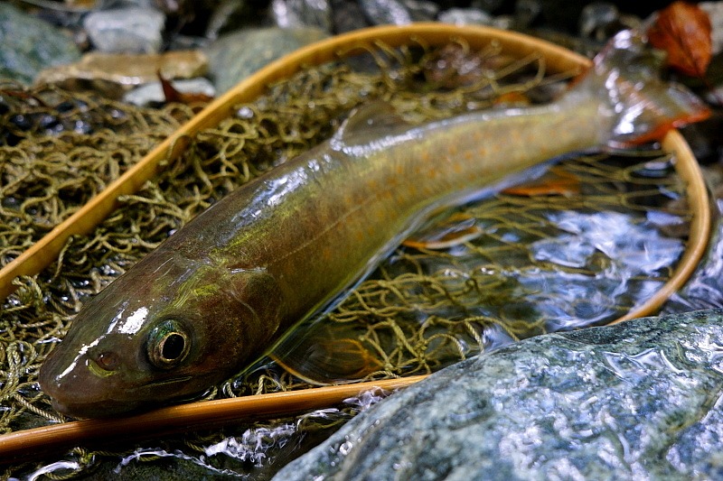 c0339900_21164546.jpg