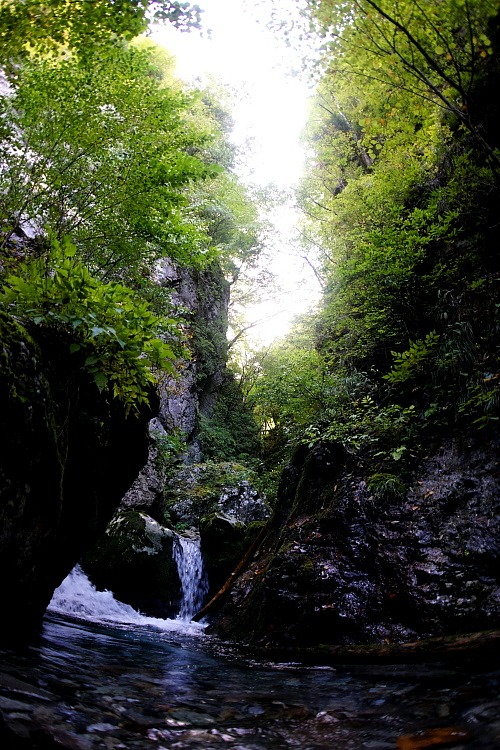 c0339900_2133041.jpg