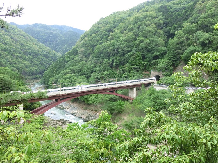 d0004301_1114012.jpg