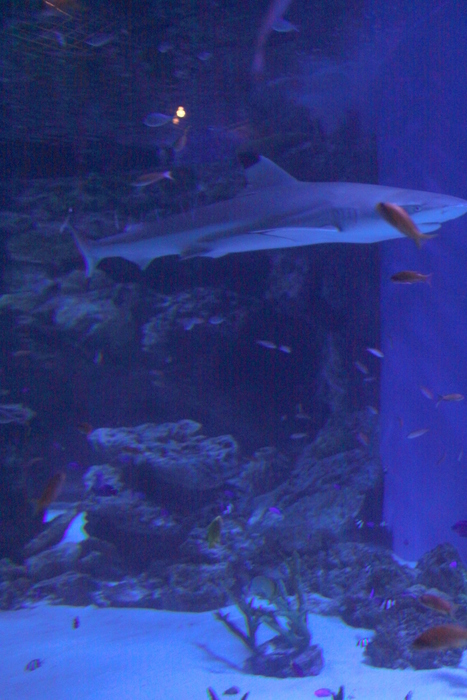 d0248502_13050251.jpg