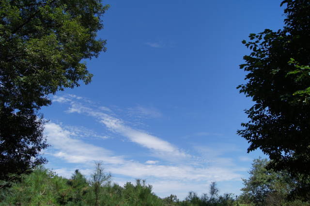 f0327308_11515901.jpg