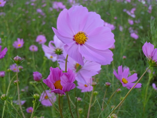 b0239909_15422370.jpg