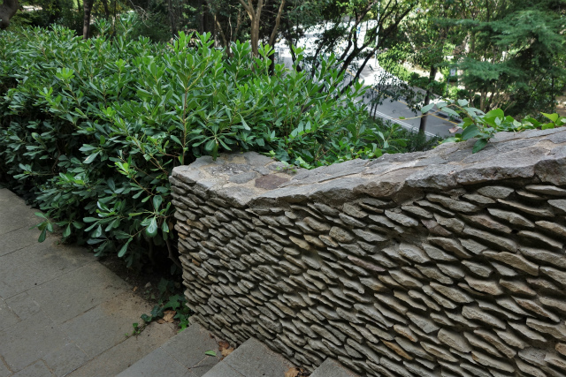 b0064411_15250184.jpg