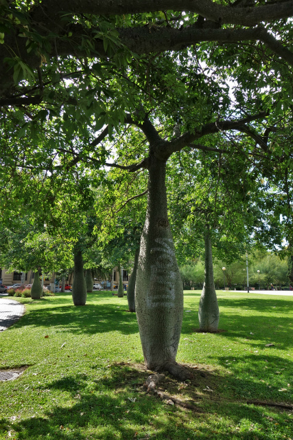 b0064411_15353727.jpg