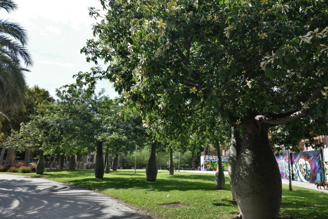 b0064411_15423000.jpg