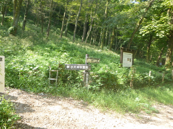 d0170615_9582826.jpg