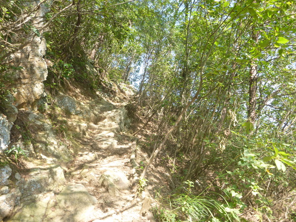 d0170615_958422.jpg