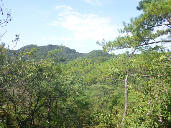 d0170615_9592230.jpg