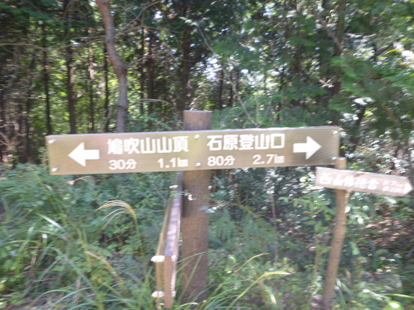 d0170615_9593117.jpg