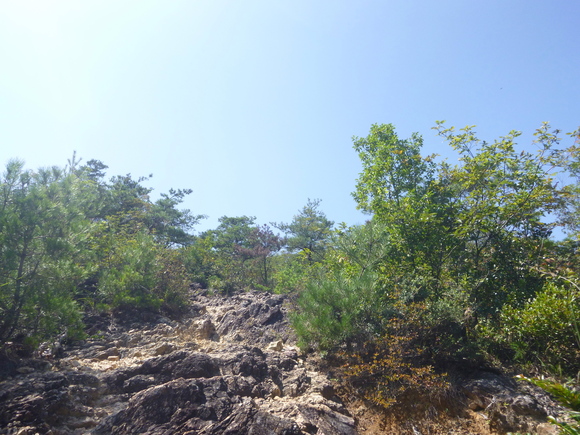d0170615_9594938.jpg
