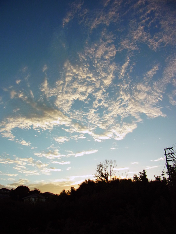 e0083517_00130174.jpg