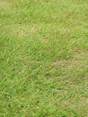 f0150620_9375392.jpg
