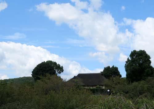 f0147025_2211323.jpg