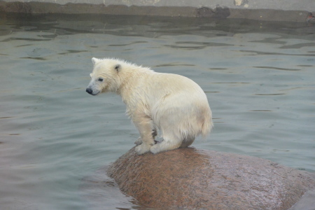 f0344626_00222259.jpg