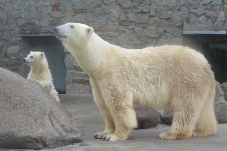 f0344626_01010840.jpg