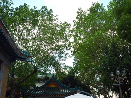 b0226431_13512942.jpg