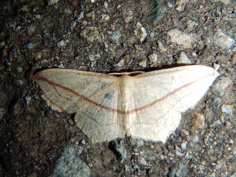 f0118332_0372030.jpg
