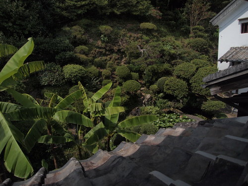 b0199742_10173658.jpg