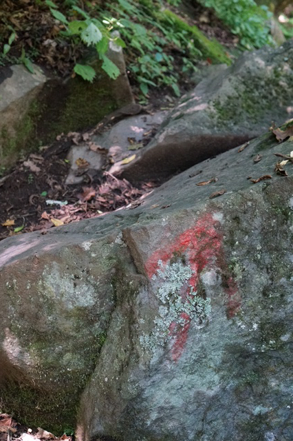 c0180142_00514955.jpg