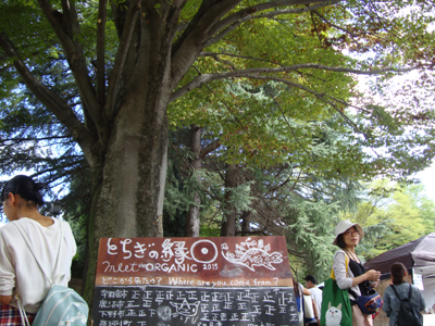 e0217950_1124660.jpg