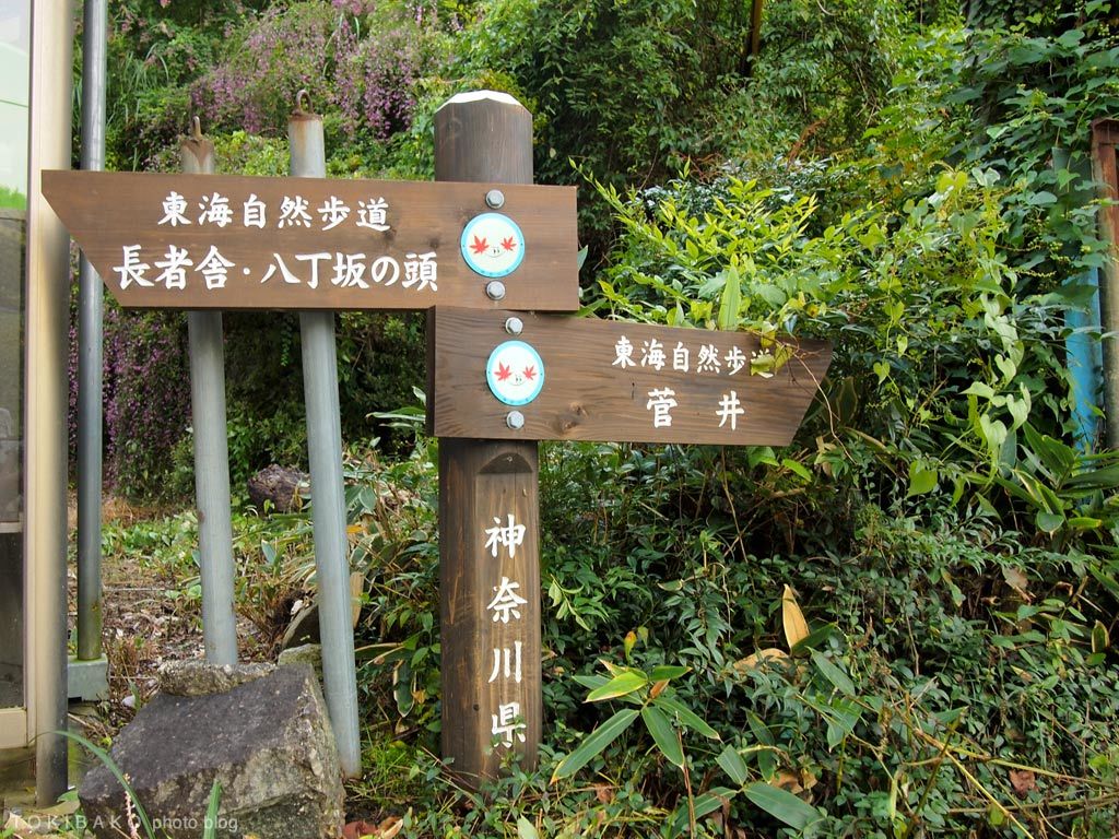 d0100156_16003534.jpg