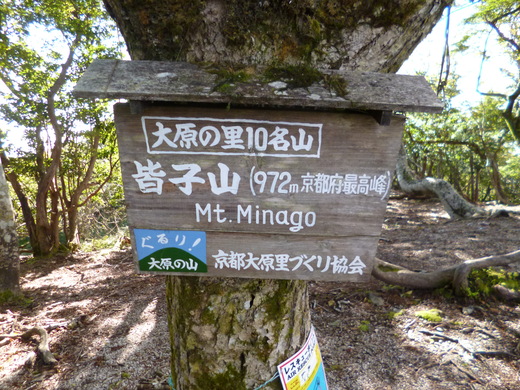 d0231858_16595025.jpg