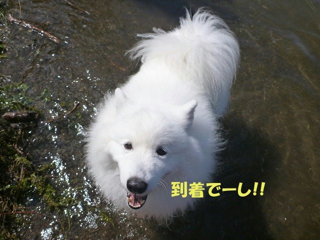 e0176159_20110172.jpg